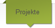 Projekte